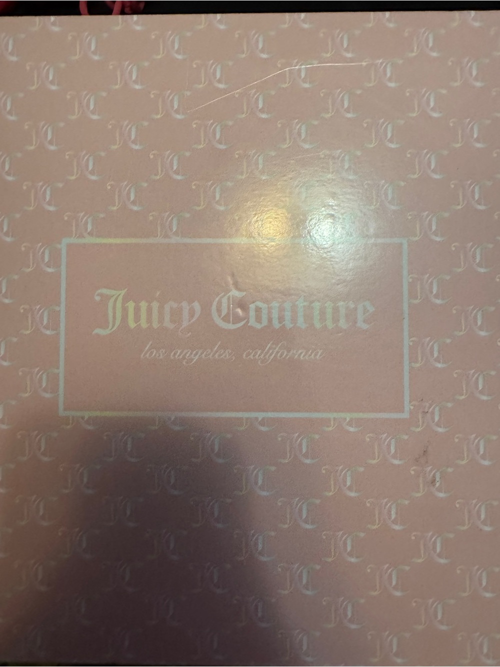 juicy couture purse and coin purse